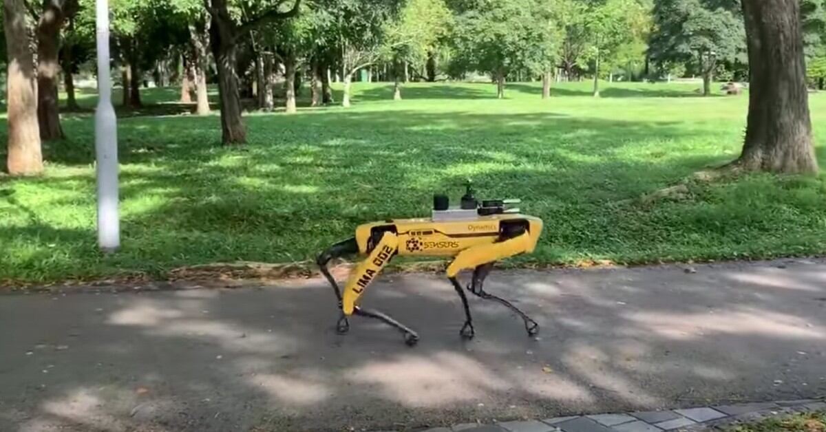 Una mañana con Spot, el perro robot de Boston Dynamics que vigila
