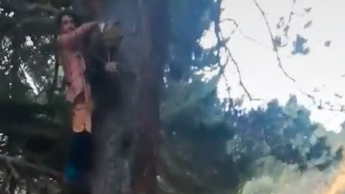 VIDEO]: Un usuario de TikTok asegura haber captado a un duende real
