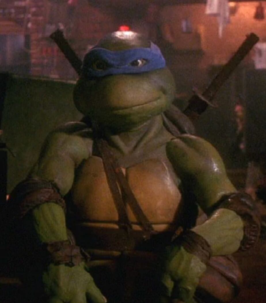 Nadie quiso comprar el feo disfraz de Leonardo de las Tortugas