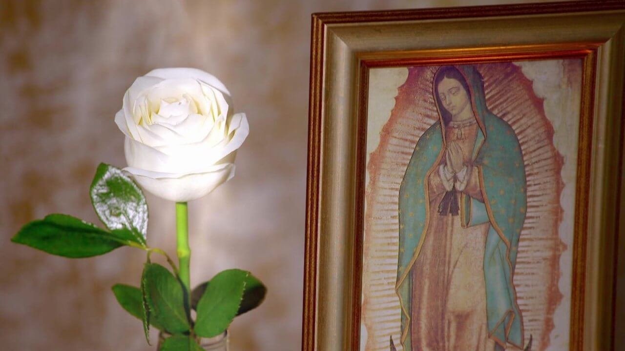 ¿Cuántos capítulos tiene La Rosa de Guadalupe?