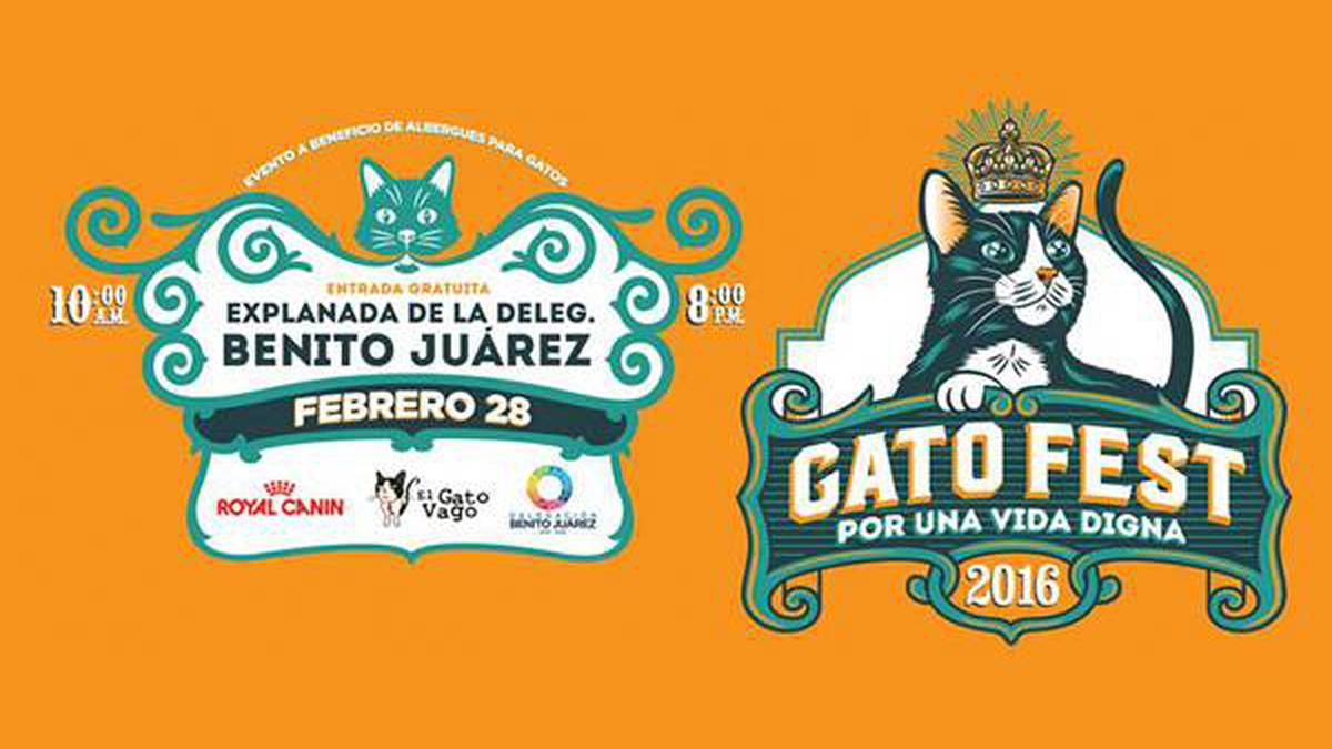 Gato Fest un evento para quienes aman a los mininos