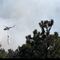 Incendios en Edomex: Delfina Gómez despliega helicópteros, drones y brigadas