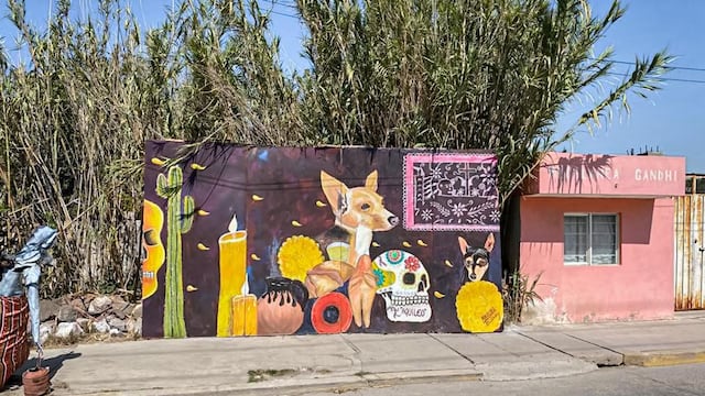 En Mixquiahuala de Juárez se realizará el 5° Encuentro Internacional de Muralismo, donde artistas de otros continentes creará obras murales en estado de Hidalgo.