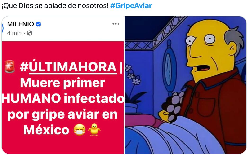 Los memes paranoicos de la gripe aviar en México