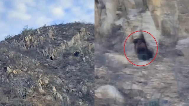 ¿Gigante en Cabo San Lucas? Reviven video de turista que captó a hombre extraño en una cueva