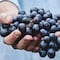 Año Nuevo 2024: ¿Las uvas se comen antes o después de las 12 de la noche? Esto sabemos