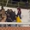 Violencia en el futbol: Se desata brutal campal en las tribunas durante partido de la Liga Premier