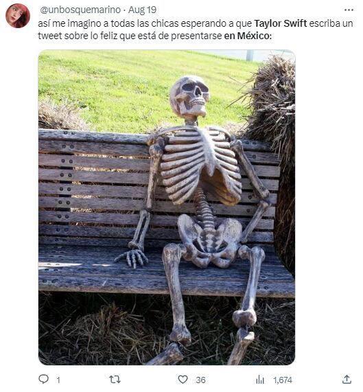 Memes de Taylor Swift en México