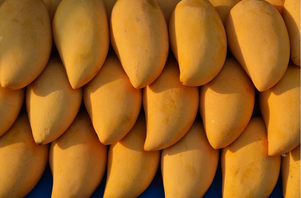 Mango ataulfo