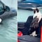 VIDEO: Héroes rescatan a un gatito que se aferraba a un carro durante inundaciones en Dubái
