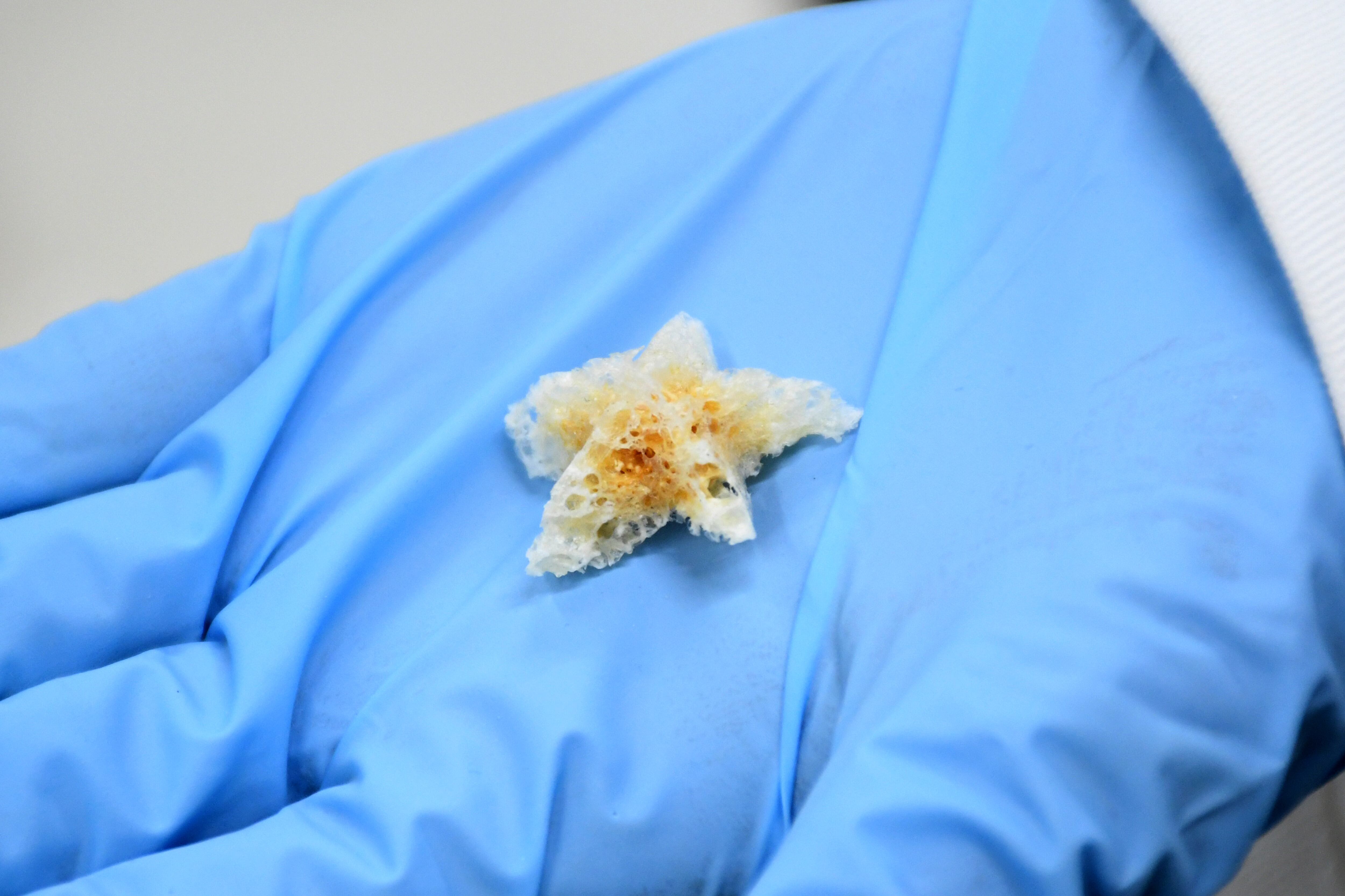 BUAP crea esponjas biodegradables y nanofibras poliméricas