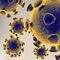 China pone a prueba en ratones una mortal cepa de coronavirus con 100% de letalidad