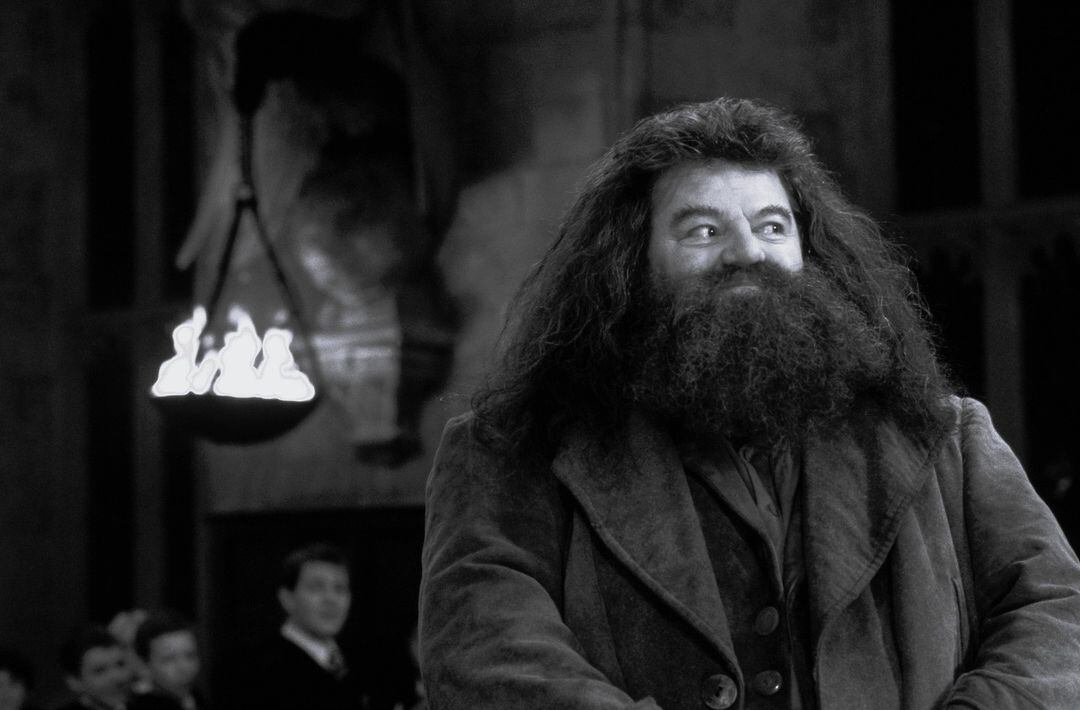 Robbie Coltrane como Hagrid en Harry Potter.