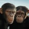 ¿El Planeta de los Simios: Nuevo Reino vale la pena? Ya casi se estrena y esta es su calificación en Rotten Tomatoes