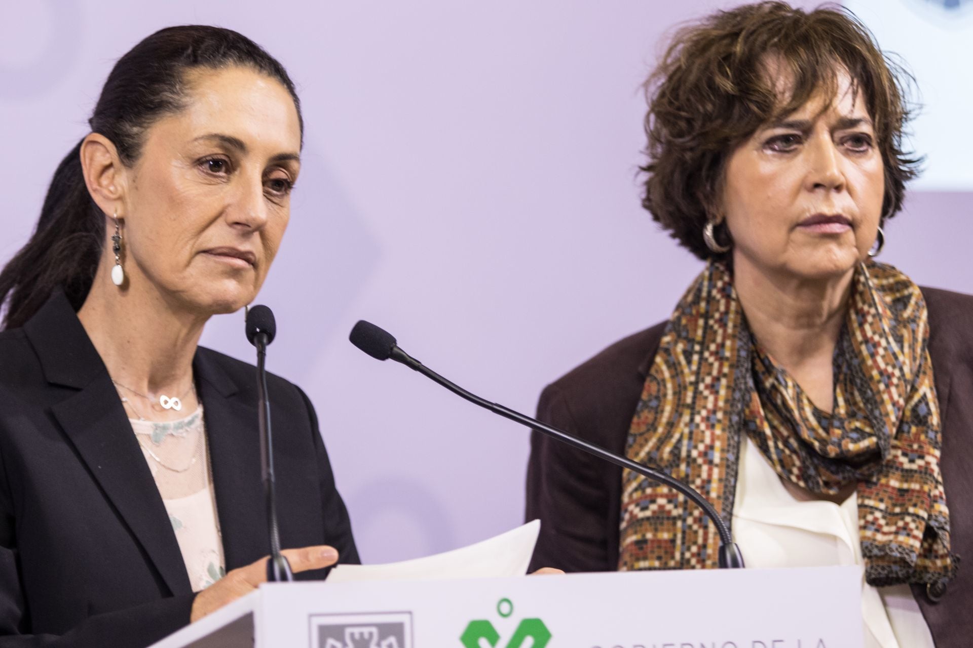 Rosaura Ruiz Gutiérrez y Claudia Sheinbaum