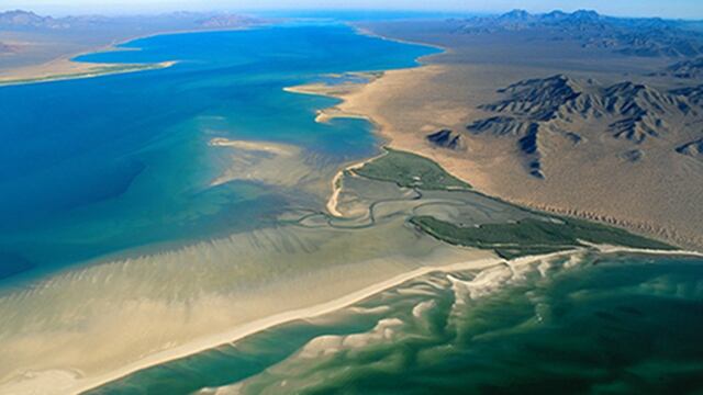 El Golfo de California, uno de los grandes tesoros de México