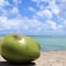 Náufragos sobrevivieron comiendo naranjas y cocos durante 29 días