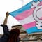 Diccionario de Cambridge cambia definición para reconocer a mujeres trans  