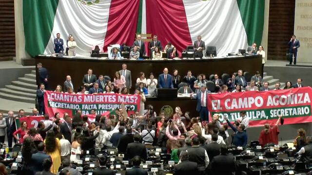 Se desató enfrentamiento en la Cámara de Diputados en comparecencia de Rogelio Ramírez de la O