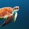 ¿Qué se celebra el 16 de junio? Hoy es el Día Mundial de las Tortugas Marinas; 5 playas en México para liberarlas
