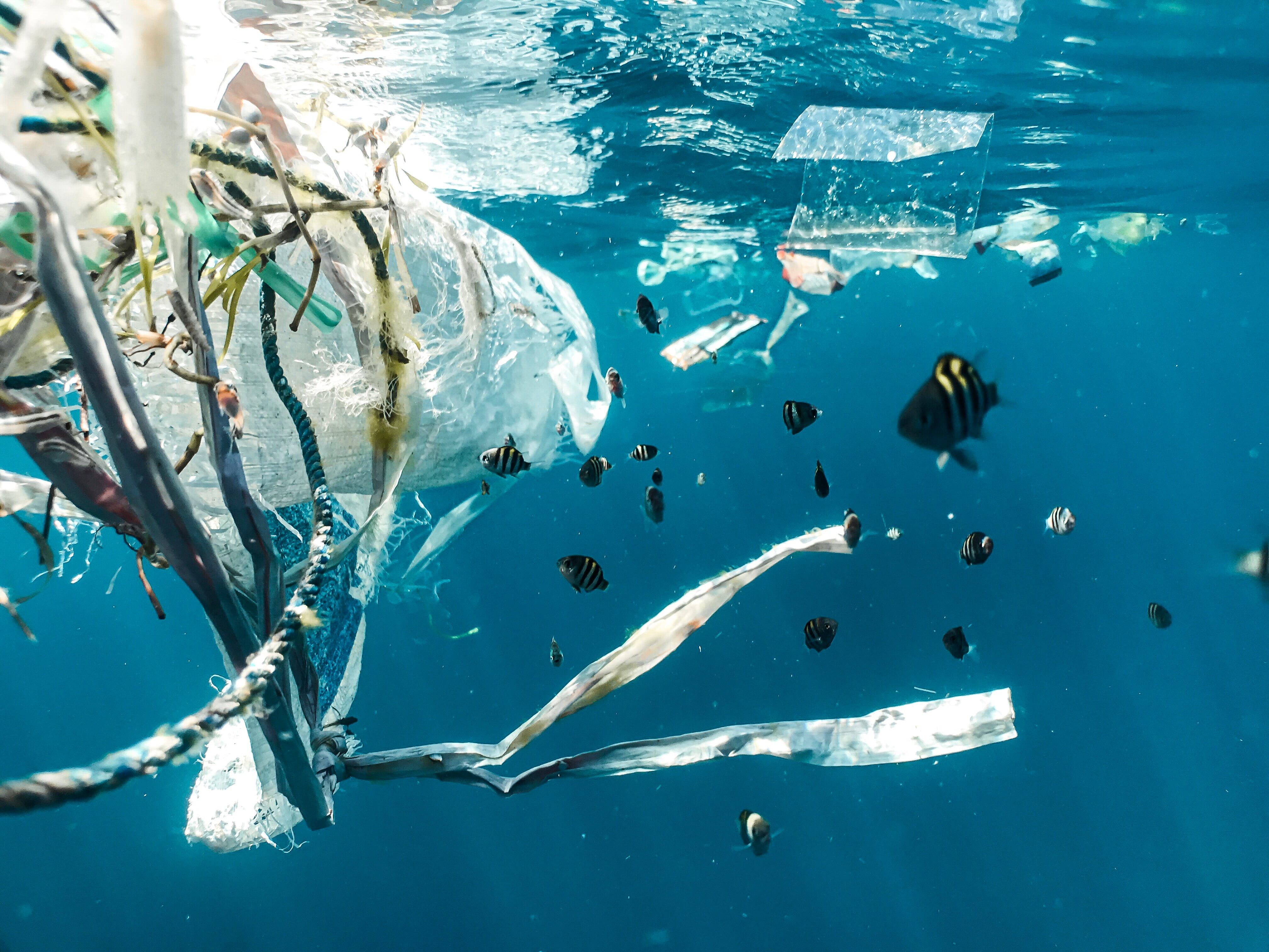 Desechos plásticos en el océano