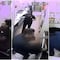 VIDEO: Hombre da golpiza a empleado de Subway en San Luis Potosí porque no lo atendía rápido