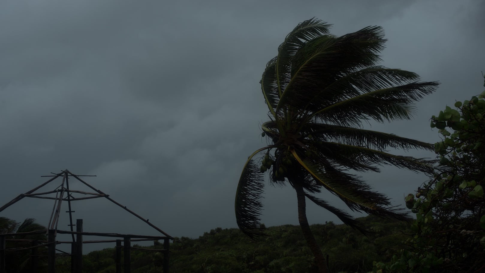 Fuertes vientos por tormenta tropical