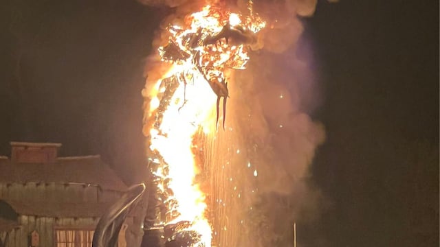Un dragón se incendió en Disneyland
