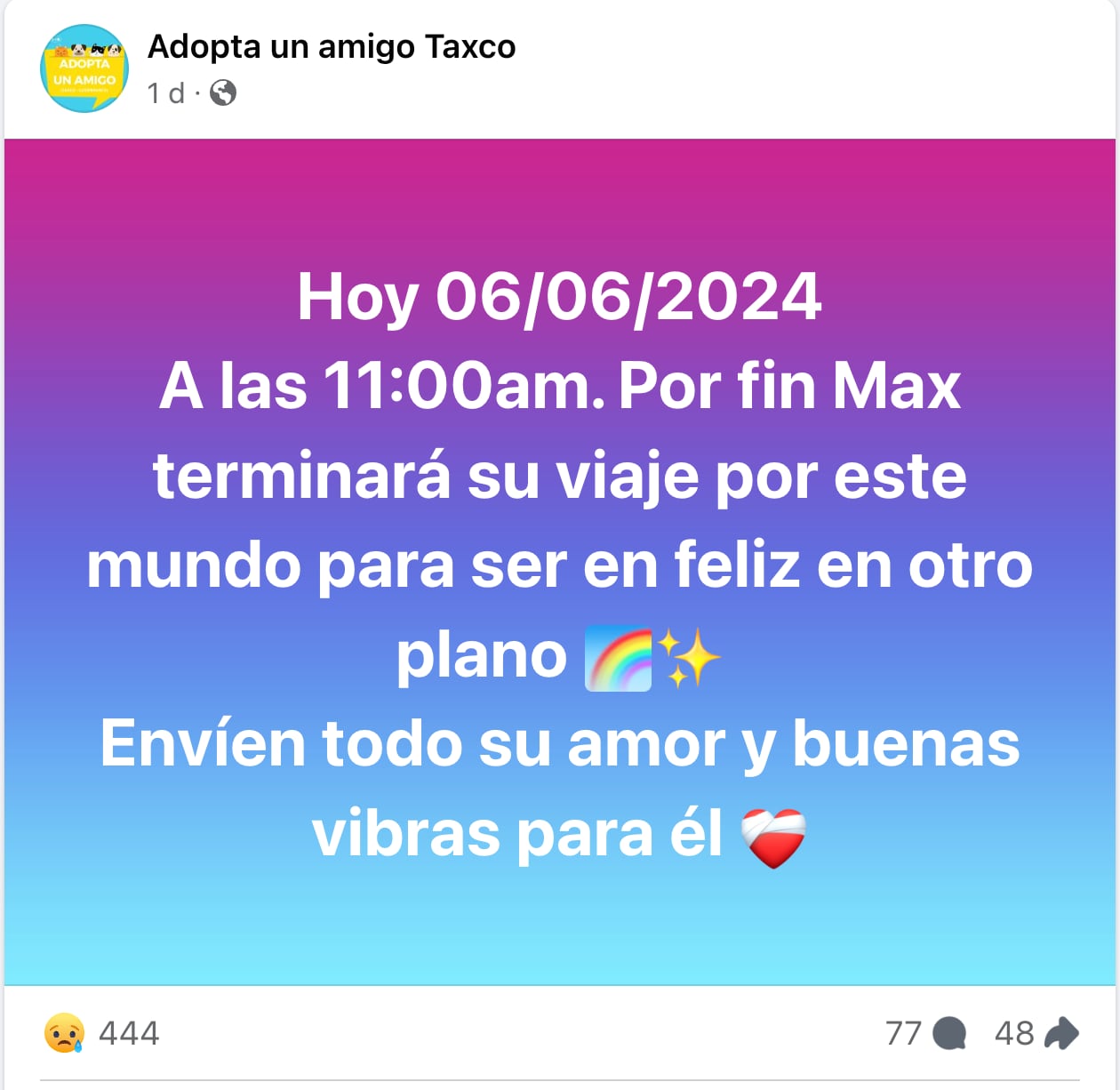 Muere el perrito Max, quien intentó a Ana Rosa en Taxco