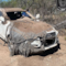 Un Audi enterrado fue descubierto durante la búsqueda de desaparecidos en Chihuahua
