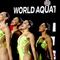 Equipo de nado sincronizado mexicano pasa de vender trajes de baño, a ganar medalla de oro en Egipto
