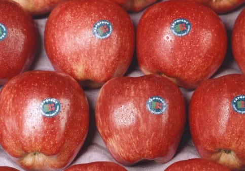 Es común ver la invasión de manzanas estadounidenses en los centros de abasto mexicanos,