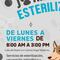 Gobierno de Acapulco convoca a campaña de esterilización para gatos y perros