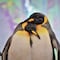 Se ahoga pingüino con una mascarilla N95