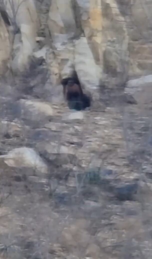 ¿Gigante en Cabo San Lucas? Reviven video de turista que captó a un hombre extraño en una cueva
