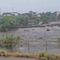 Se hizo el agua en Tamaulipas: Río San Marcos volvió a correr tras años de sequía en Ciudad Victoria