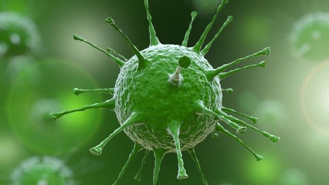 crAssphage, el virus recién descubierto que causa sensación en los intestinos humanos