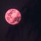 El ritual para la Luna Rosa 2024 que se verá en México, si quieres manifestar el amor