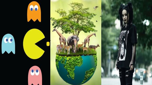 ¿Qué se celebra el 22 de mayo? Hoy es Día Mundial del Gótico, Día Mundial del Pac-Man y Día Internacional de la Diversidad Biológica