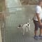 VIDEO: Saca a pasear a su perrita y la abandona; estuvo amarrada un día entero a una reja