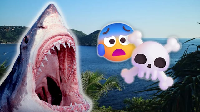 Ataque de tiburón en playa de México