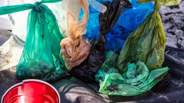 Este 3 de julio se conmemora el Día sin bolsas de plástico