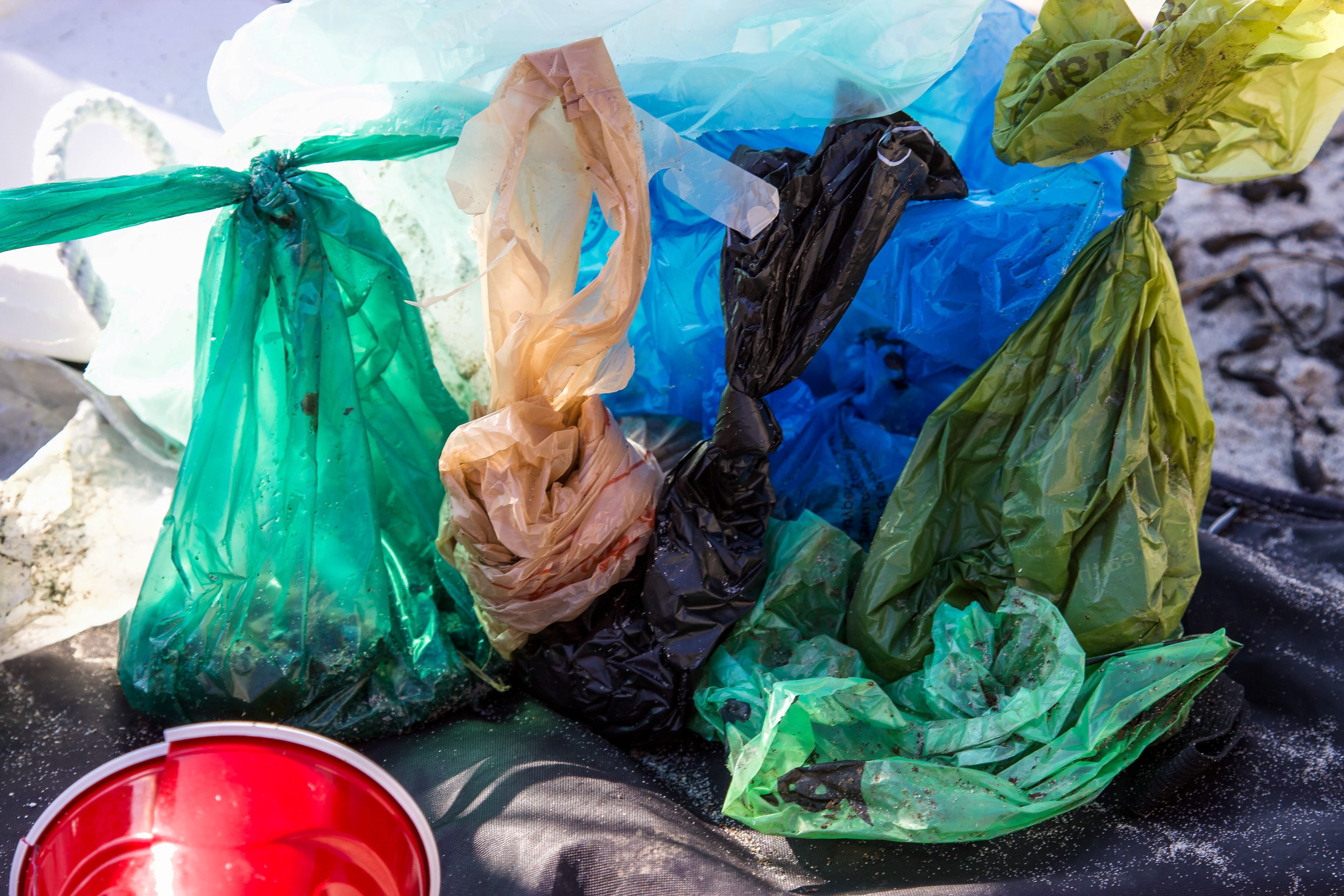 Este 3 de julio se conmemora el Día sin bolsas de plástico