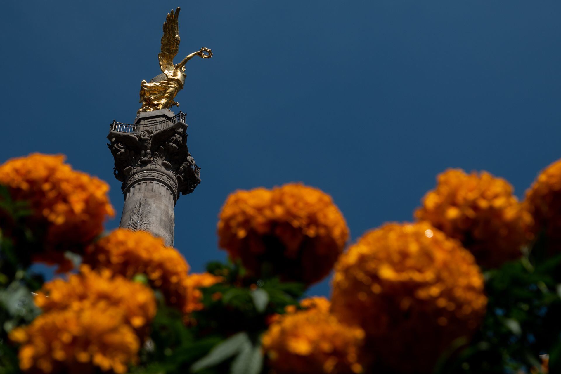 Flores de cempasúchil en el Ángel de la Independencia