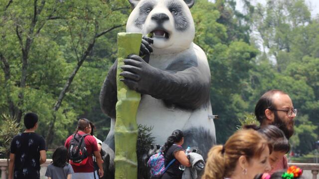 Este enorme oso panda llegó como parte de Animalística Festival. Un oso panda causa sensación en el Bosque de Chapultepec