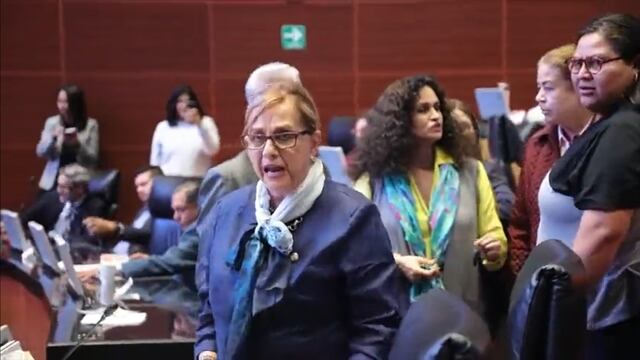 Malú Micher renuncia a Morena en el Senado