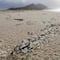 ¿Qué son los pellets de plástico? Advierten crisis ambiental por 25 toneladas en playas de España
