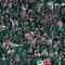 Qatar 2022: Reventa pide hasta 20 mil pesos para boletos del Argentina vs México