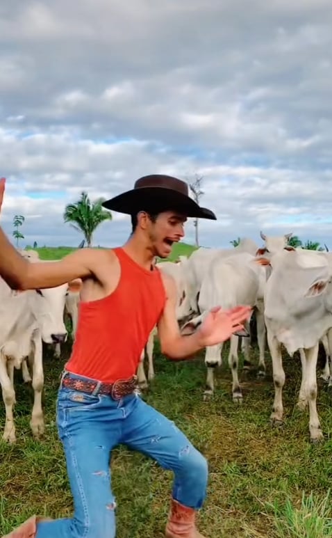 Vaca ataca hombre que baila trend de TikTok
