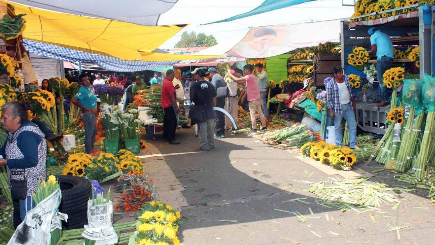 Ofrece la Central de Abasto gran variedad de flores para festejar a mamá